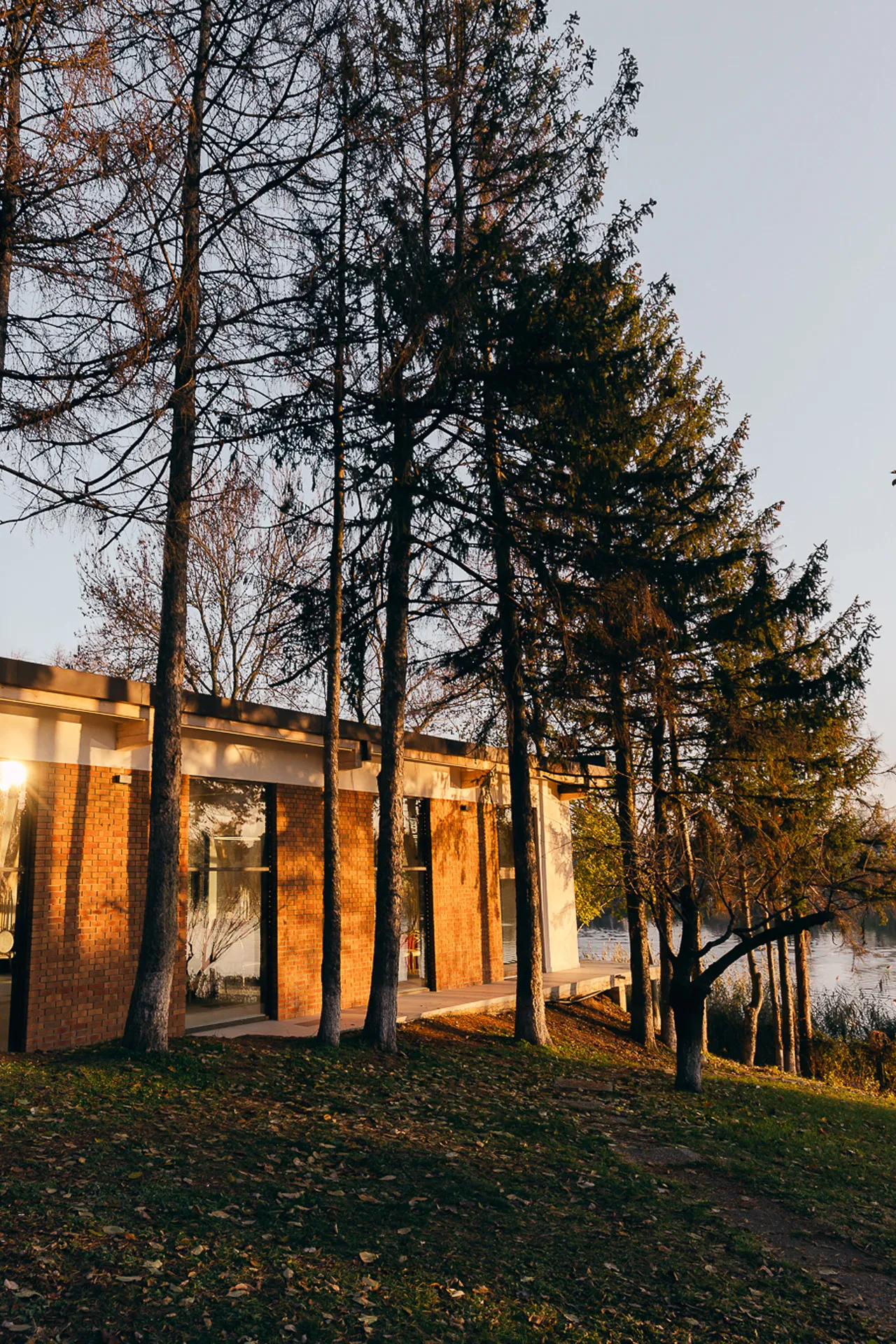 Asteria Lac Snagov - fotografie 4