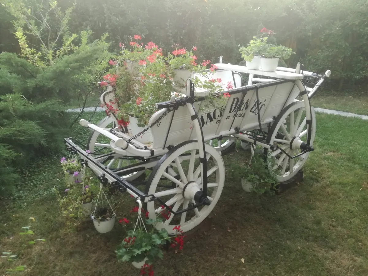 Centru de Evenimente - La Podgoria - 5 Centru de Evenimente - La Podgoria - 5