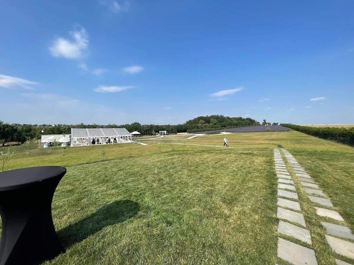 Cesari - 1 Cesari - 1