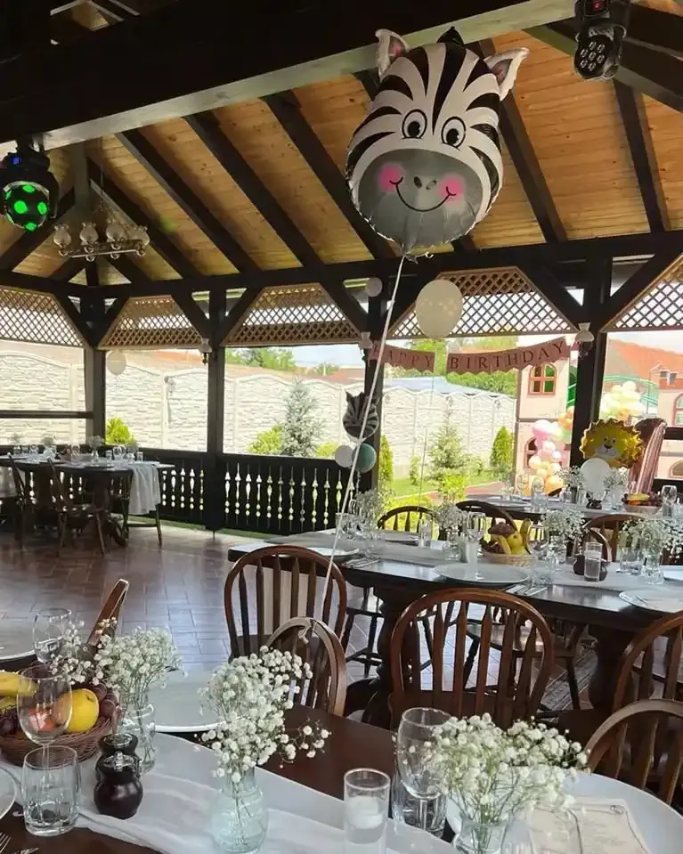 Conacul Ambient - fotografie 2