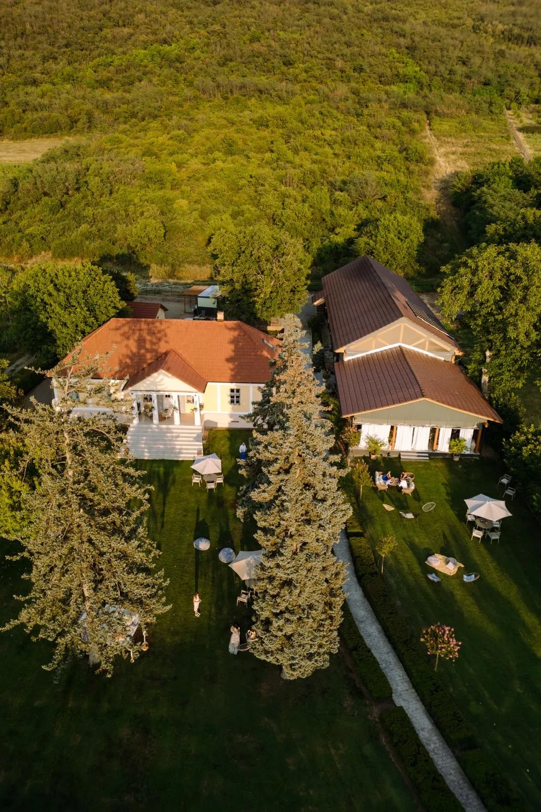 CRAMA VILLA VECHE — sala de evenimente, Arad (foto 1)