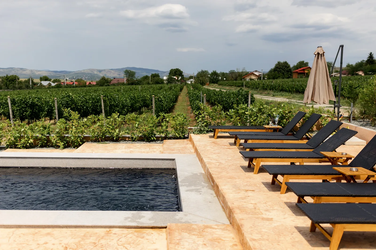 Gramofon Wine - fotografie 5