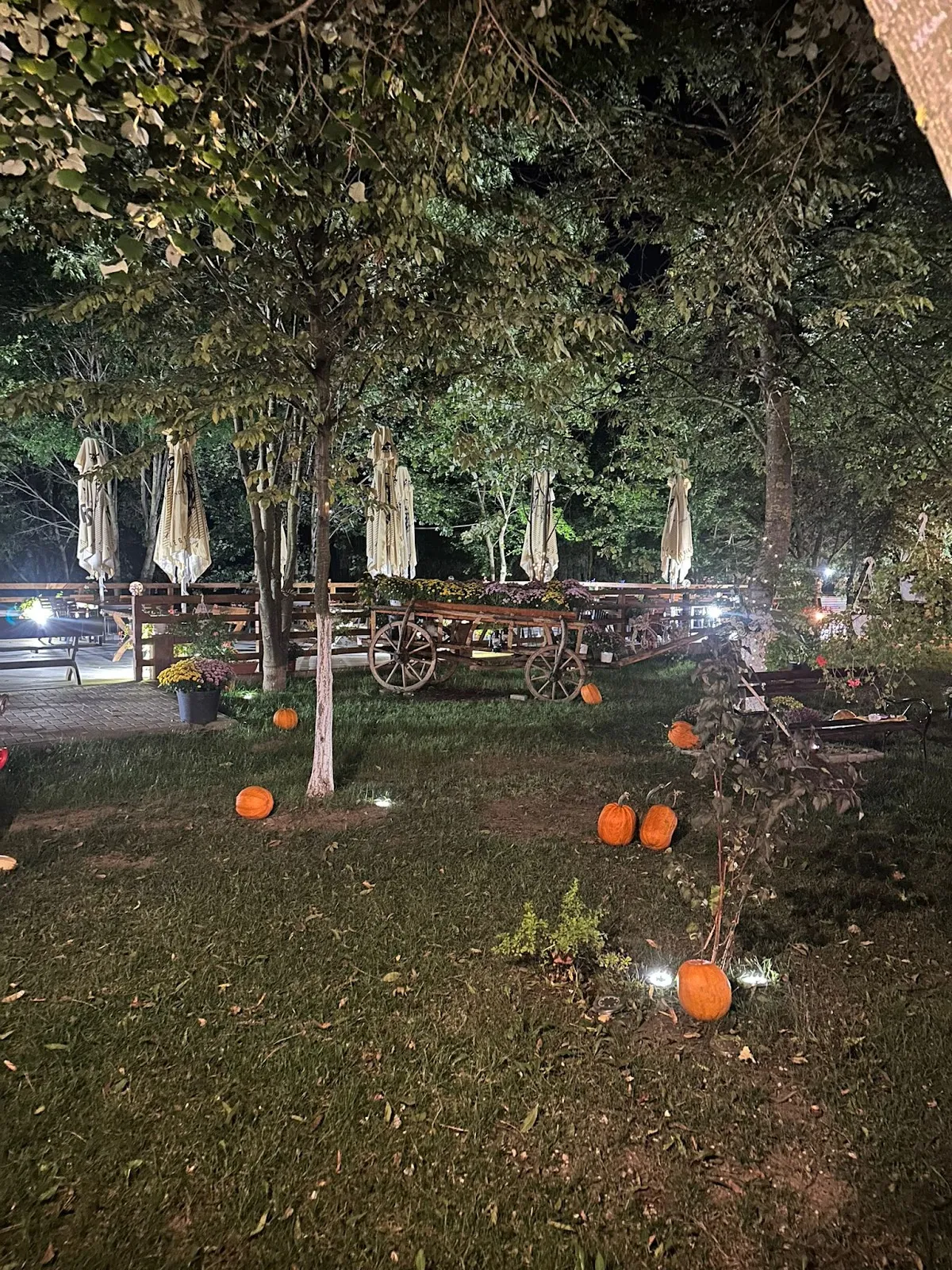 HANUL MARIOAREI - Restaurant Nunti, Botez, Evenimente Roman. Salon Evenimente, Meniu Nunta, Botez Roman judetul Neamt - 6 HANUL MARIOAREI - Restaurant Nunti, Botez, Evenimente Roman. Salon Evenimente, Meniu Nunta, Botez Roman judetul Neamt - 6