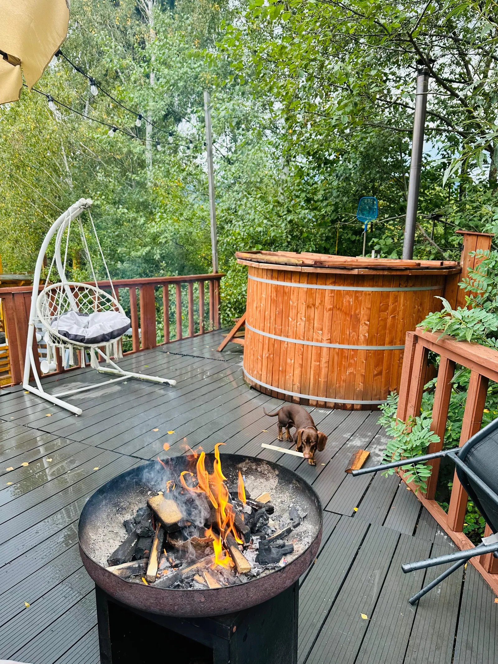 Harmony Villa Straja - fotografie 5
