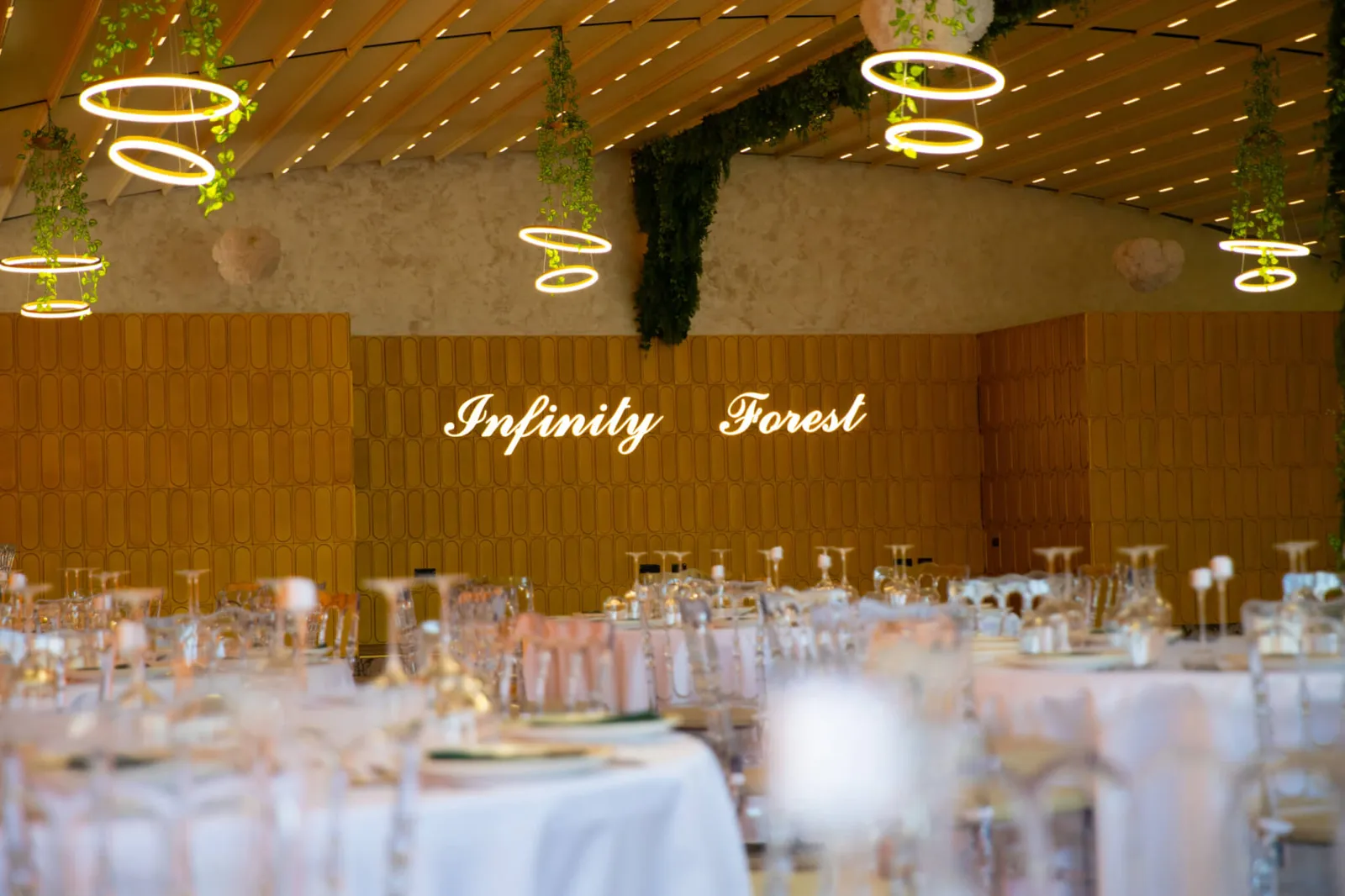 Infinity Forest — ringul de dans, Giurgiu (foto 4)