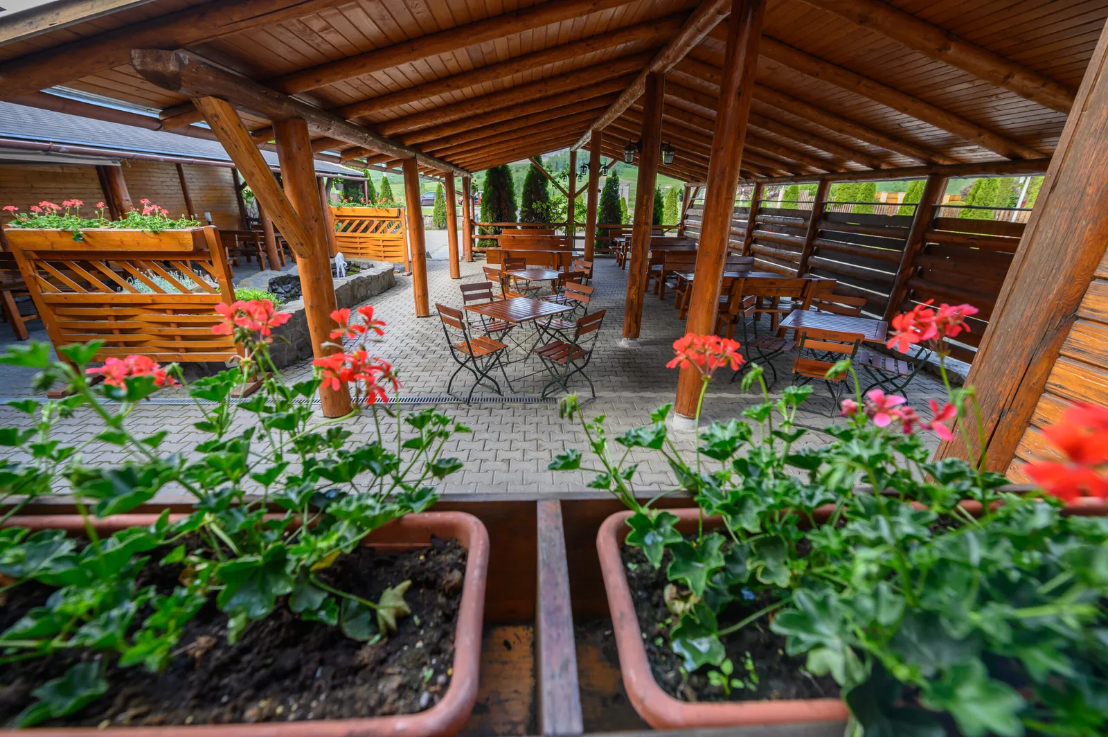 Juliu's Pension - fotografie 5