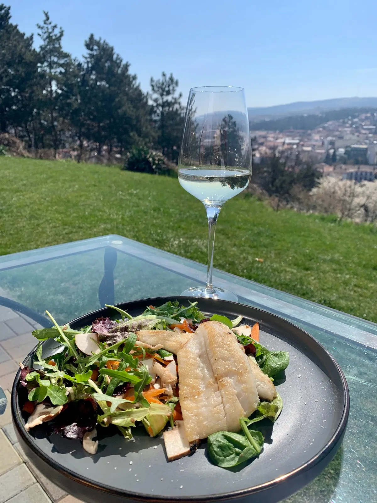 Panoramic - 2 Panoramic - 2