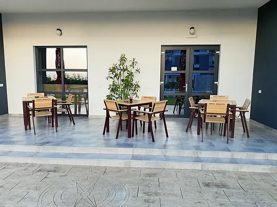 Pensiunea Harmony Felix — intrarea principală, Bihor (foto 6)