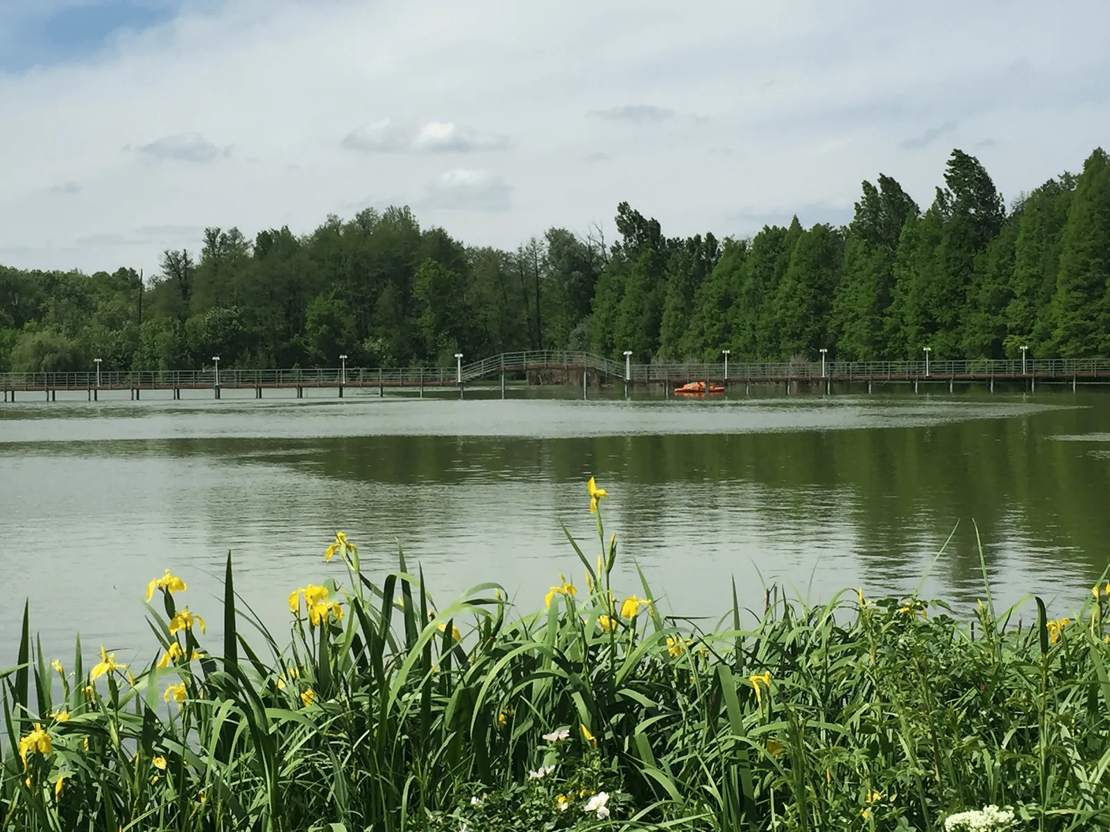 Plaza Lake - fotografie 5