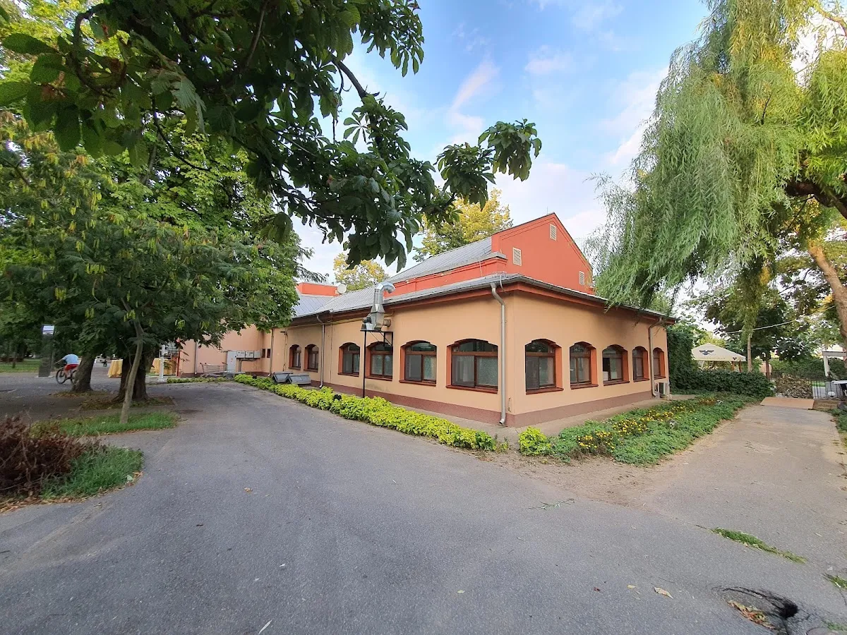 Restaurant "Privighetoarea" Brăila - fotografie 5