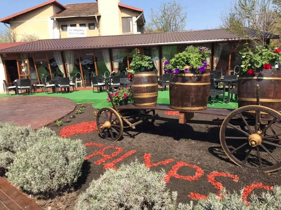 Restaurant Calypso — zona exterioară, Mehedinti (foto 3)