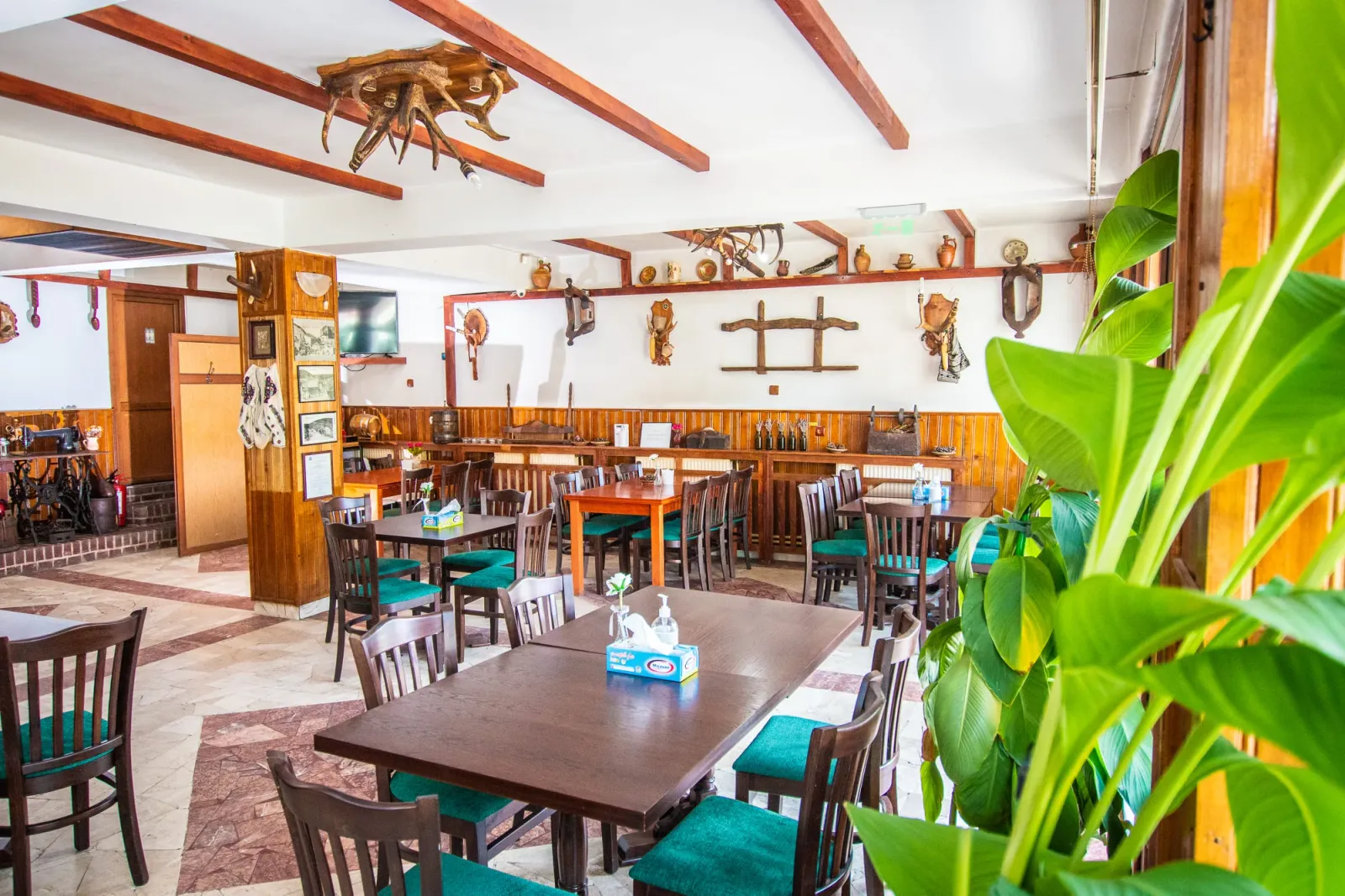 Restaurant Casa Alba - fotografie 4