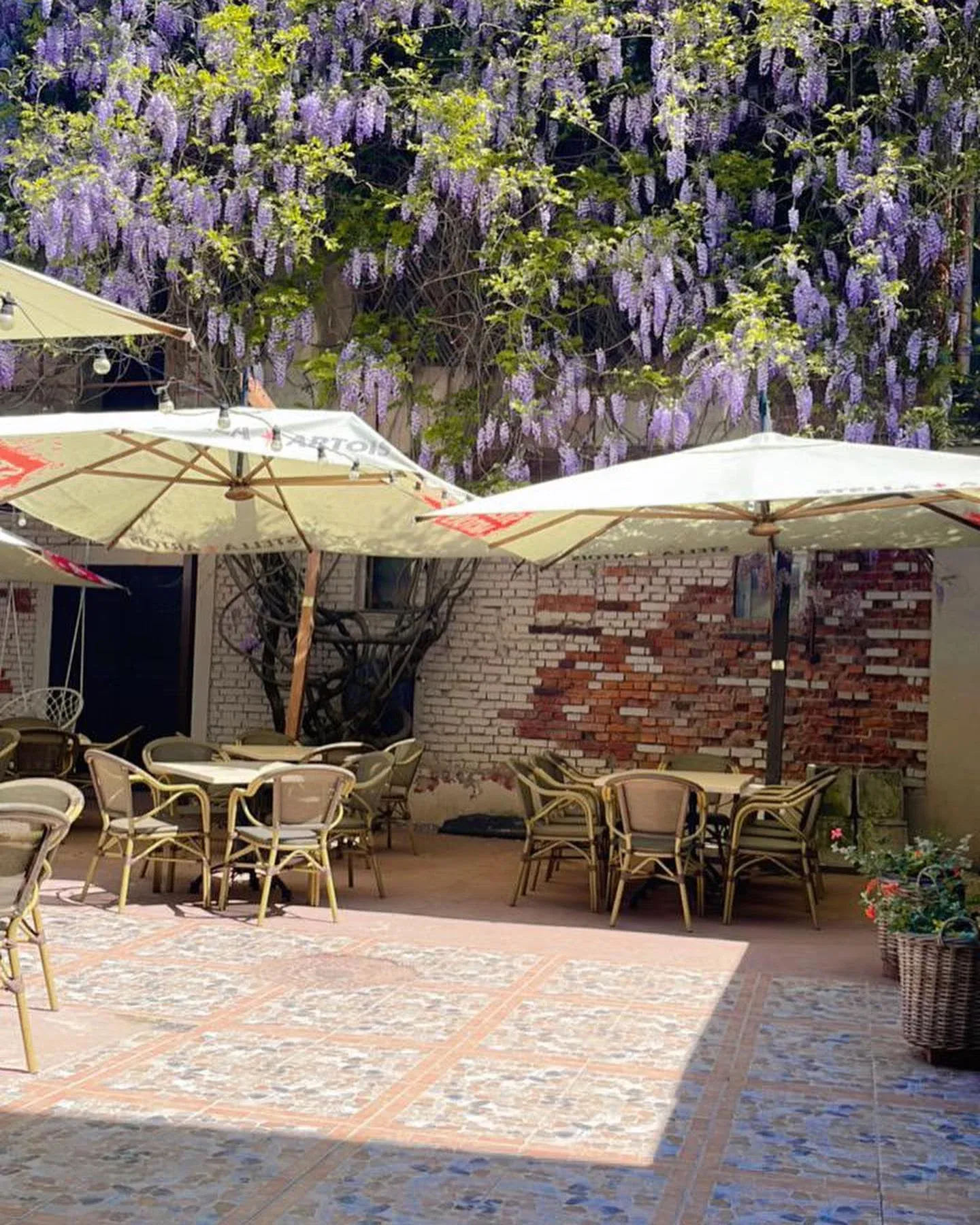 Restaurant Dolce Vita - fotografie 3