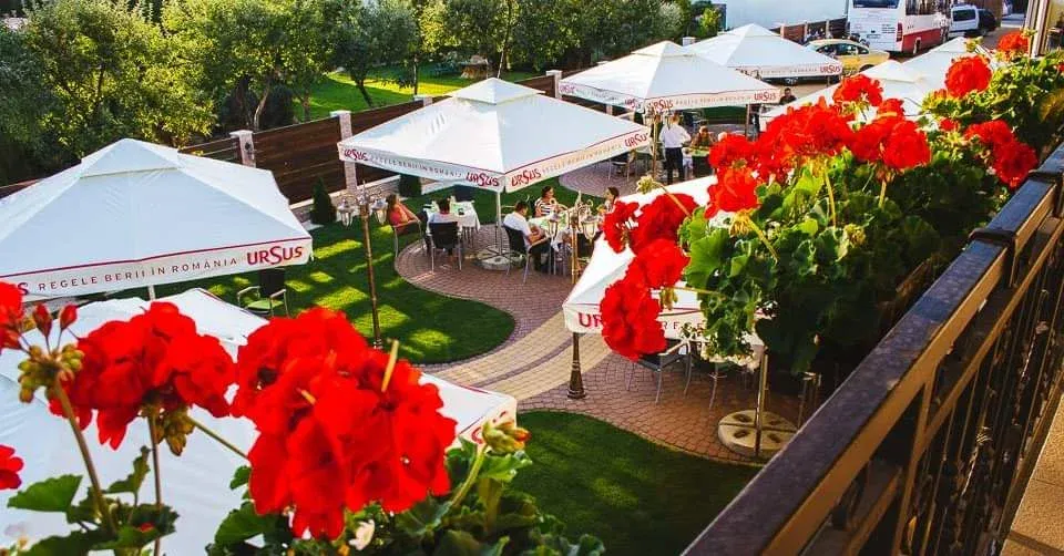 Restaurant Flamingo - fotografie 3