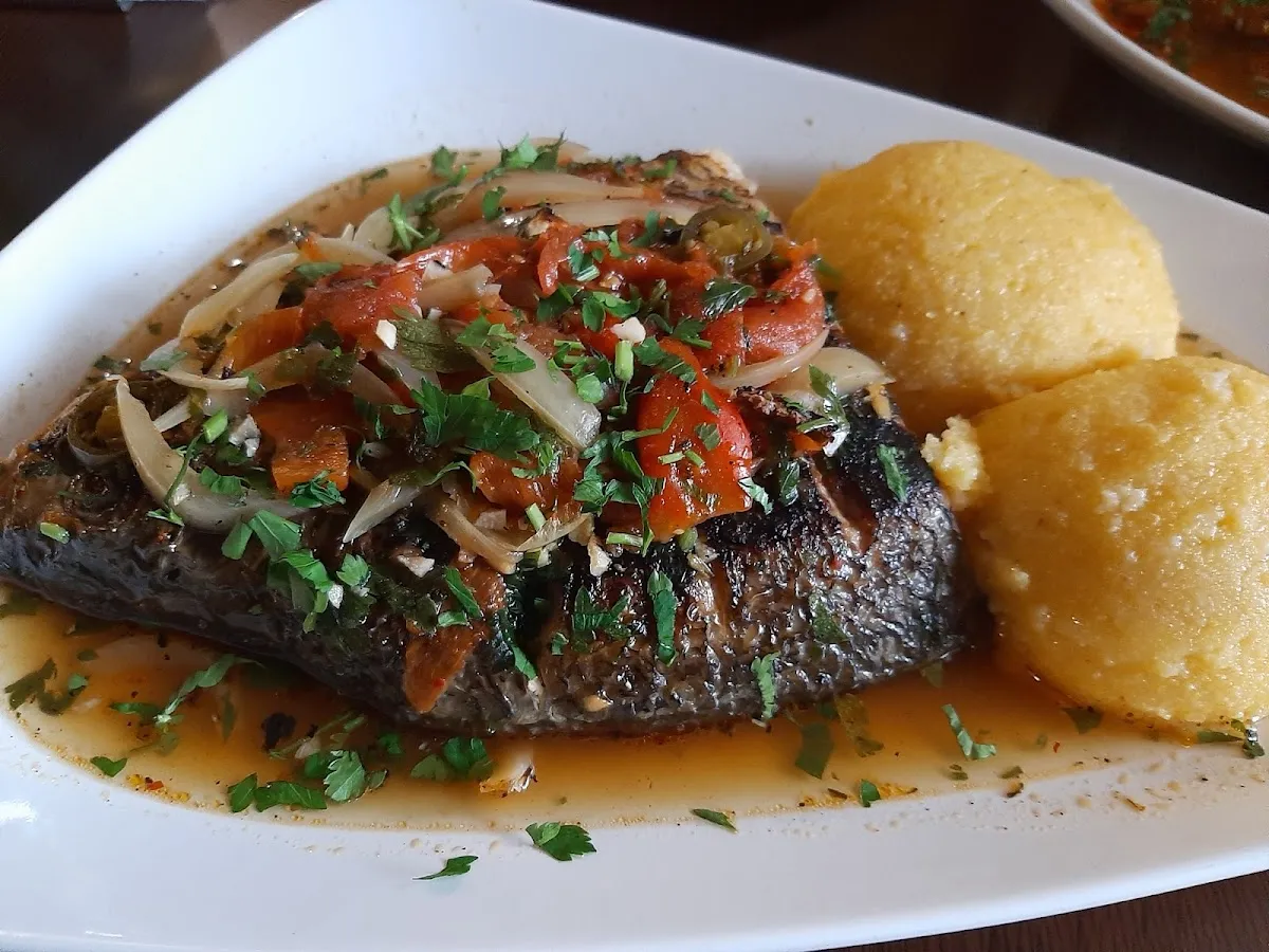 Taverna mosului - 2 Taverna mosului - 2