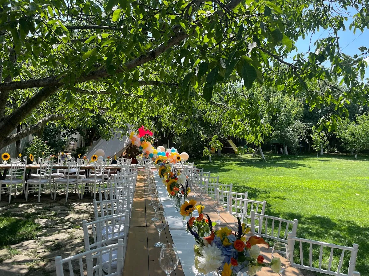 The Backyard - 2 The Backyard - 2