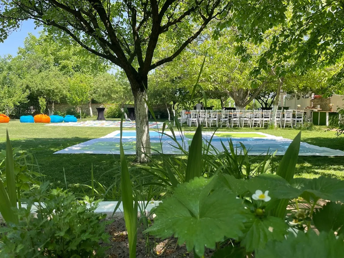 The Backyard - 3 The Backyard - 3