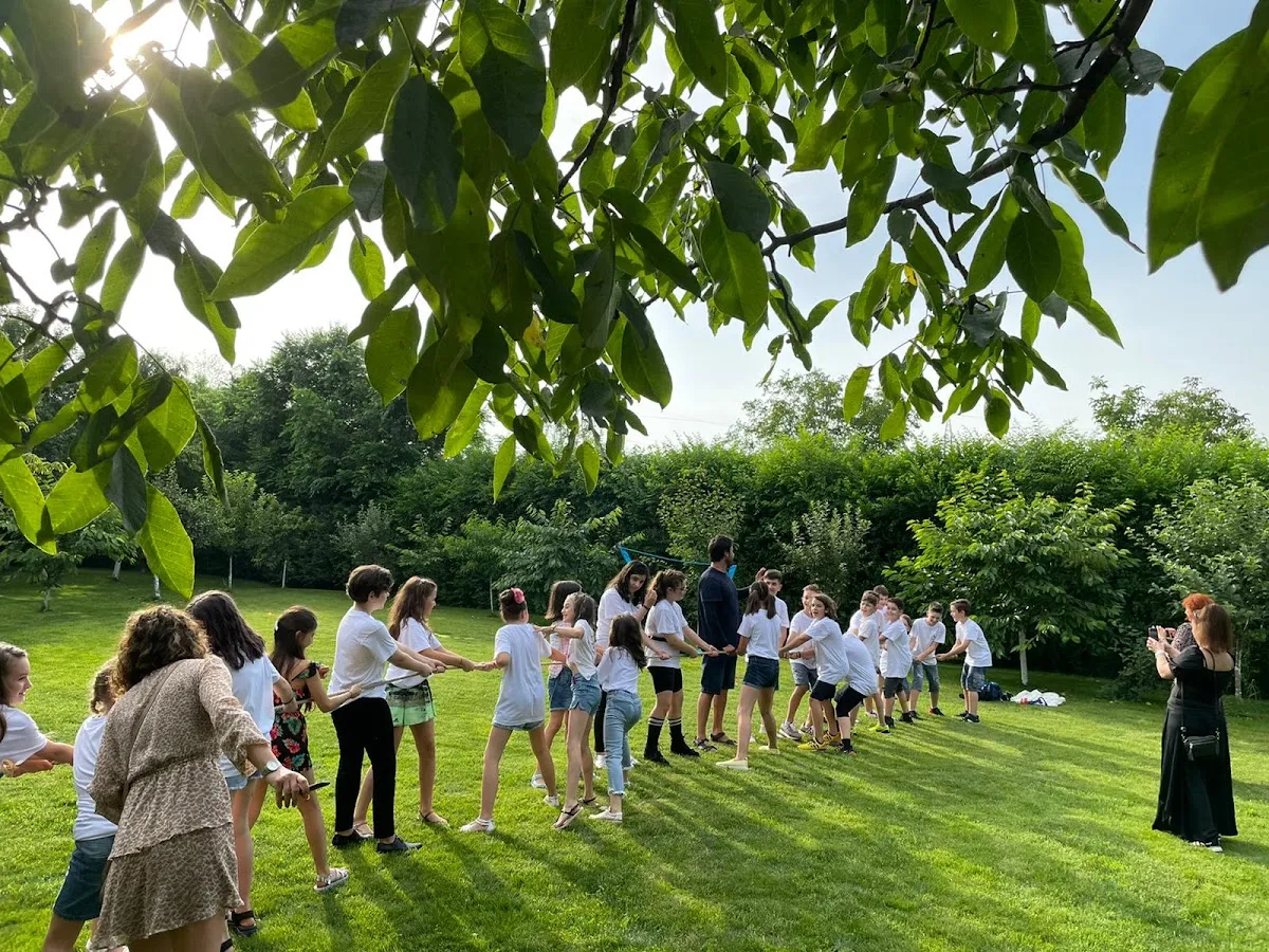 The Backyard - 6 The Backyard - 6