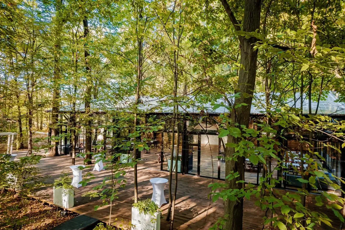 TreeHouse In The Woods - fotografie 5