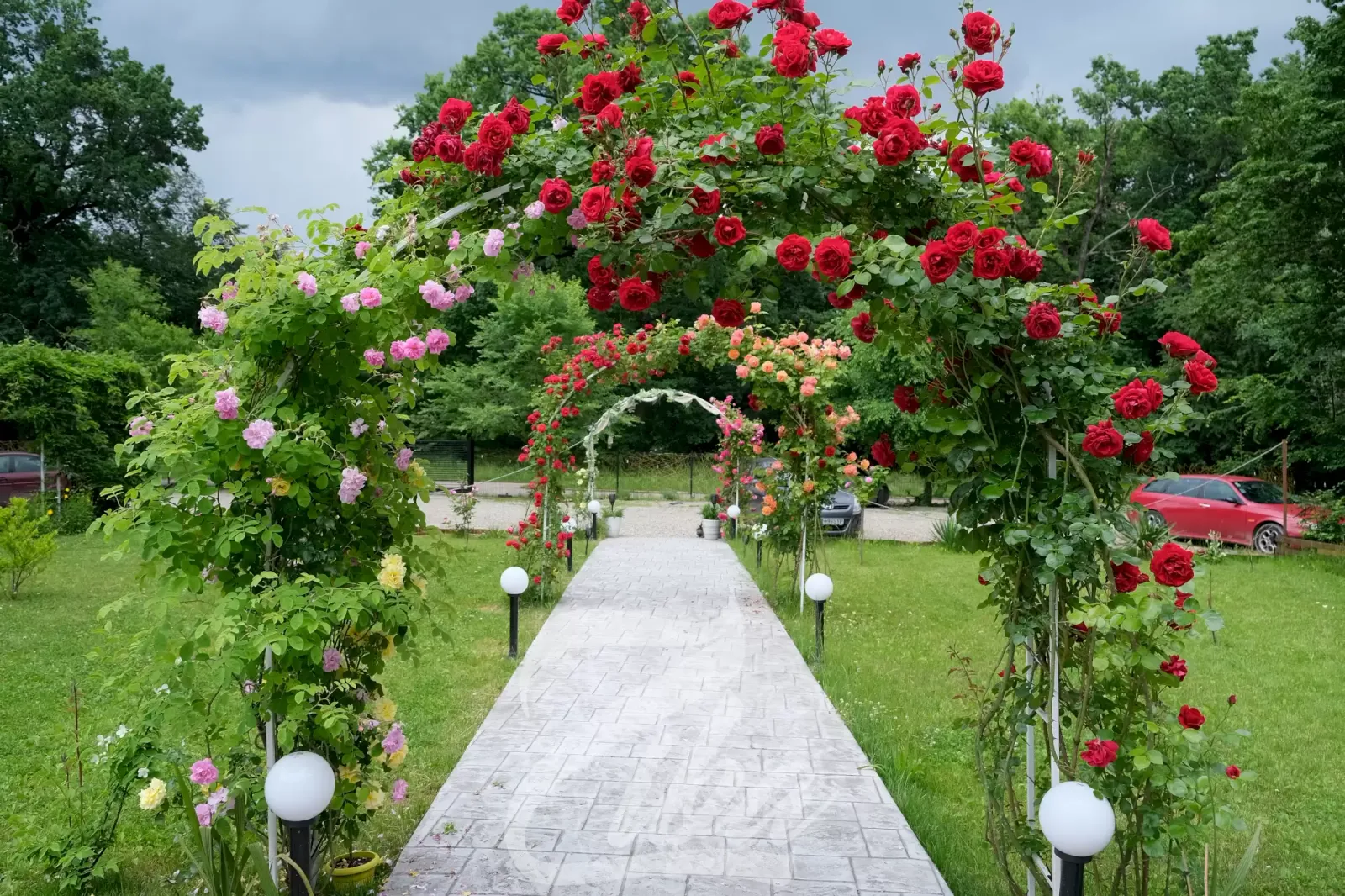 Ziba Restaurant & Garden by Mehrzad - fotografie 4