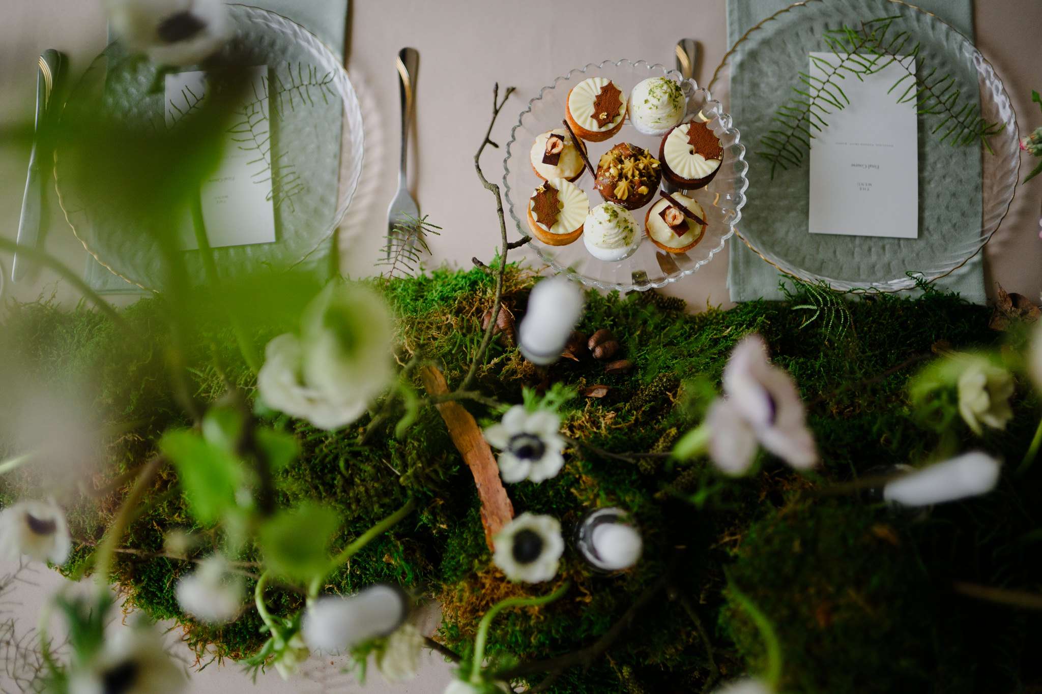 DIANA BIRO Planner - fotografie 2