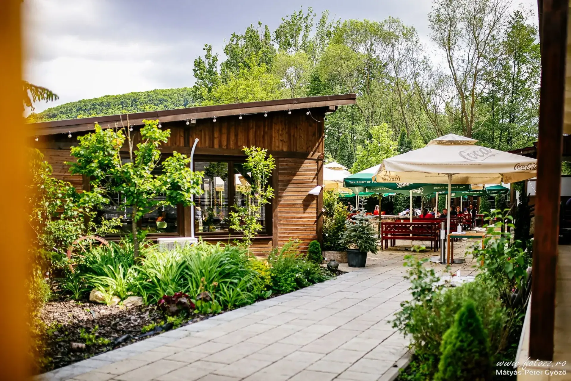 Restaurant Roata Faget - fotografie 5