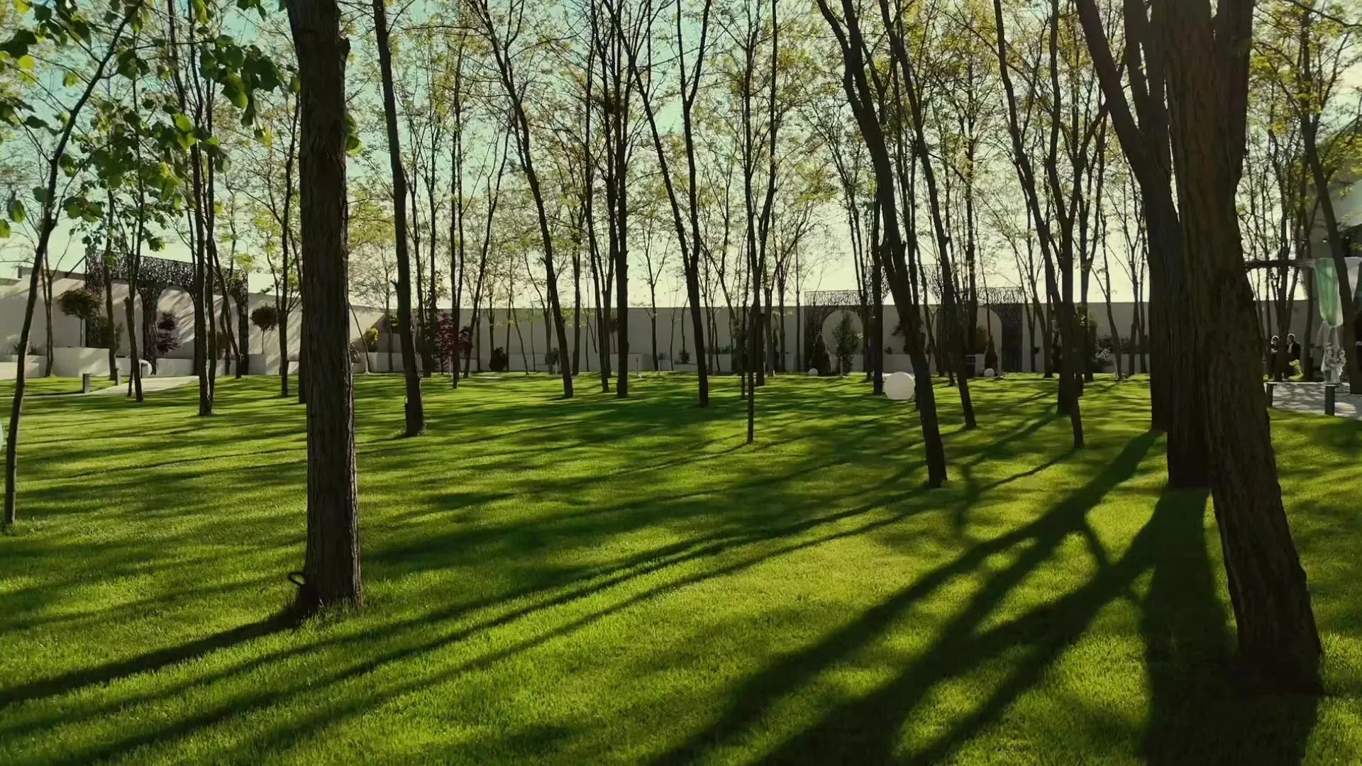 Aybo Garden - imagine principală