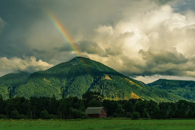 Top 7 Locuri de Vis pentru Nunta Ta în România